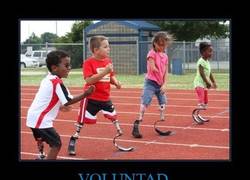 Enlace a VOLUNTAD