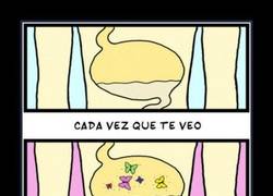 Enlace a MARIPOSAS