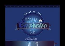Enlace a MANUAL DE TWITTER