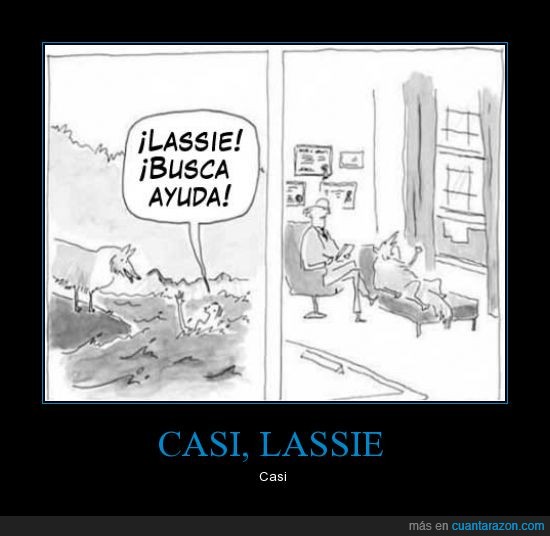 Ayuda,busca,lassie