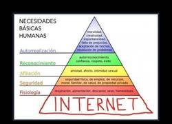Enlace a INTERNET