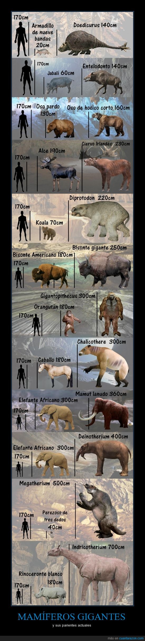animal,gigante,mamífero,prehistoria