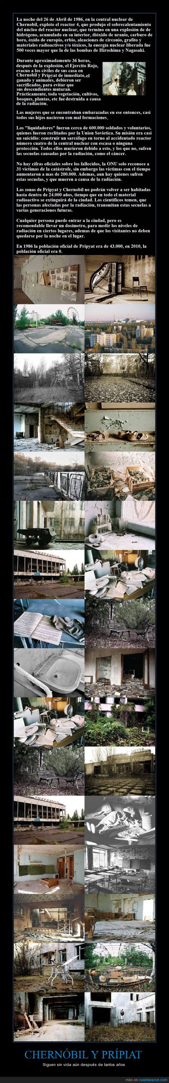 abandonado,atomico,chernobil,chernobyl,ciudad,muertes,mutación,nuclear,pripiat,pripyat,toxico
