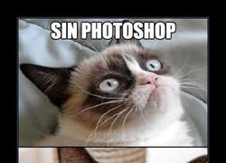 Enlace a PHOTOSHOP
