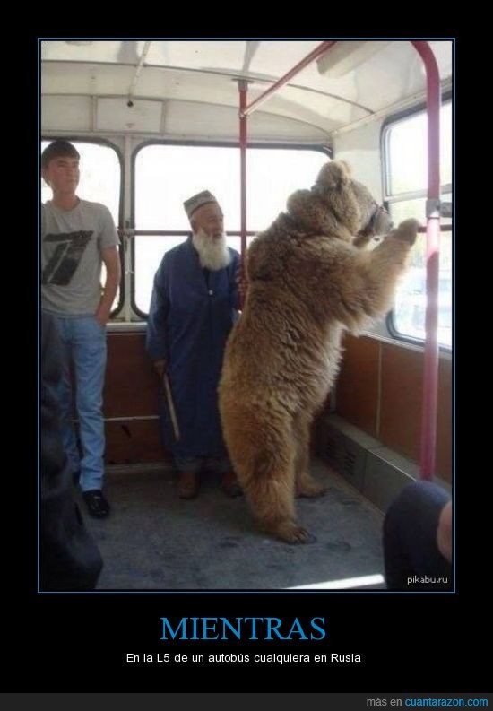 abuelo,autobus,oso,rusia,señor