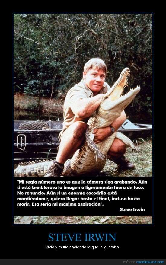Steve Irwin,cazador de cocodrilos,morir,vivir