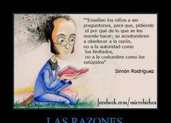 Enlace a LAS RAZONES