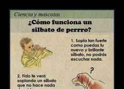 Enlace a INFRASONIDOS PARA PERROS