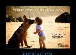 Enlace a EDUCACIÓN