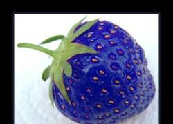 Enlace a FRESAS AZULES
