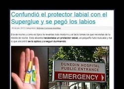 Enlace a ESTUPIDEZ HUMANA