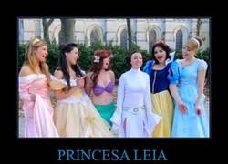 Enlace a PRINCESA LEIA