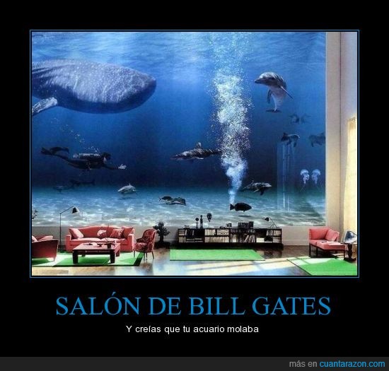 rico,salón,acuario,bill gates