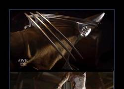 Enlace a MAN AT ARMS