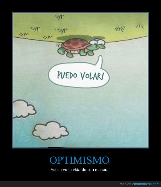 optimismo,tortuga,del revés,girada,mundo