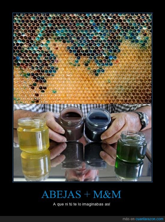 abejas,m&m,miel,colores