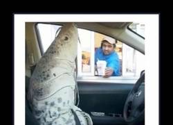 Enlace a SIMPLEMENTE