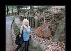 Enlace a ¿SERPIENTES?