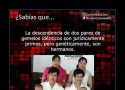 Enlace a FAMILIA DE GEMELOS