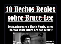 Enlace a BRUCE LEE