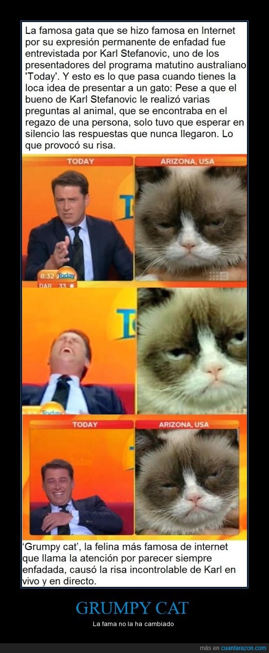 Grumpy cat,famosa,entrevista,reir