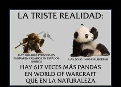 Enlace a PANDAS