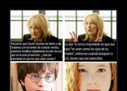 Enlace a ¡TENÍAS UN TRABAJO!