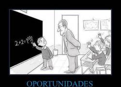 Enlace a OPORTUNIDADES