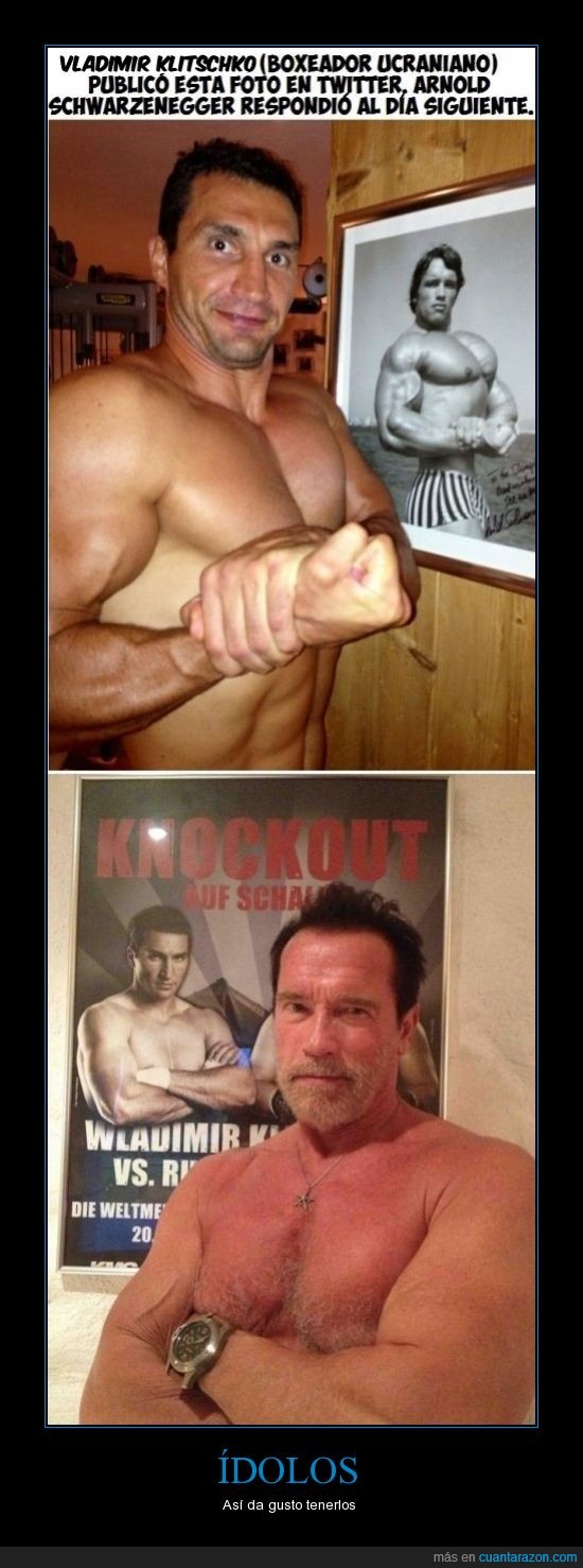 Arnold Schwarzenegger,vladimir klitzchko,musculos,fuerte,lucir,papanoel que reparte