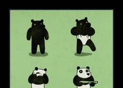 Enlace a PANDAS