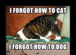 Enlace a KRISTEN STEWART