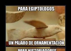 Enlace a HISTORY CHANNEL