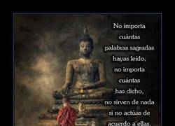 Enlace a PREDICAR CON EJEMPLOS