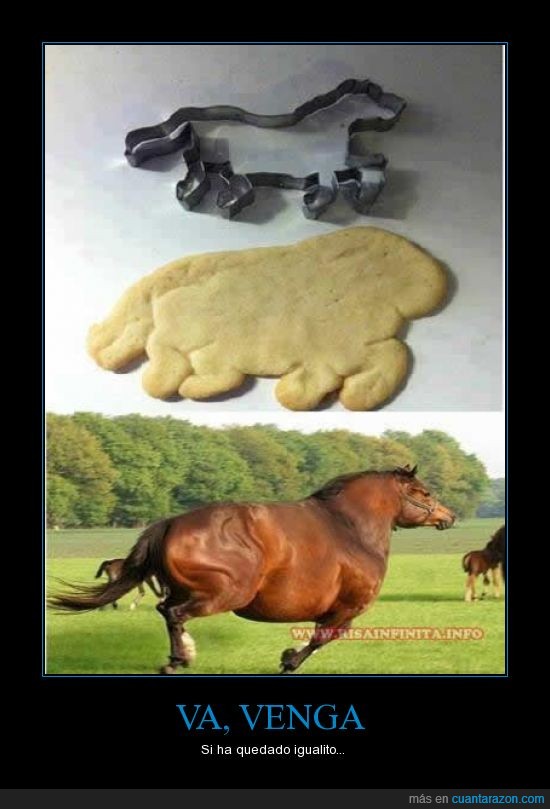 caballo,gordo,mal,galleta,molde