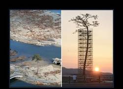 Enlace a ÚNICO ÁRBOL