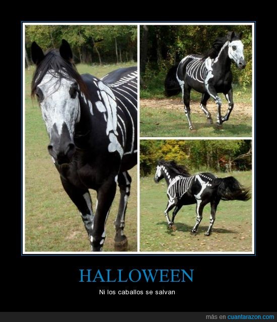caballo,disfraz,esqueleto,halloween,pintar