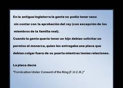 Enlace a F.U.C.K.