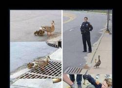 Enlace a POLICIAS