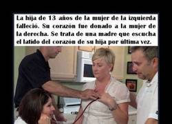 Enlace a LAS PALABRAS SOBRAN