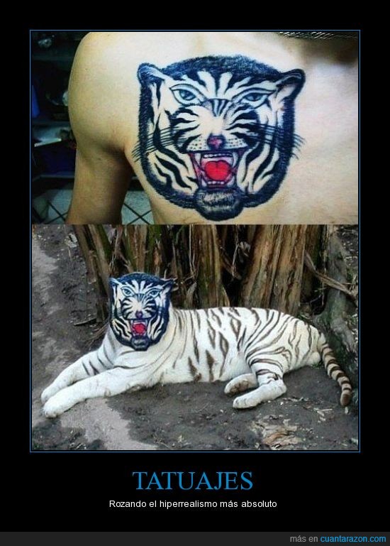 encima,tigre,tatuaje,tigre real,photoshop