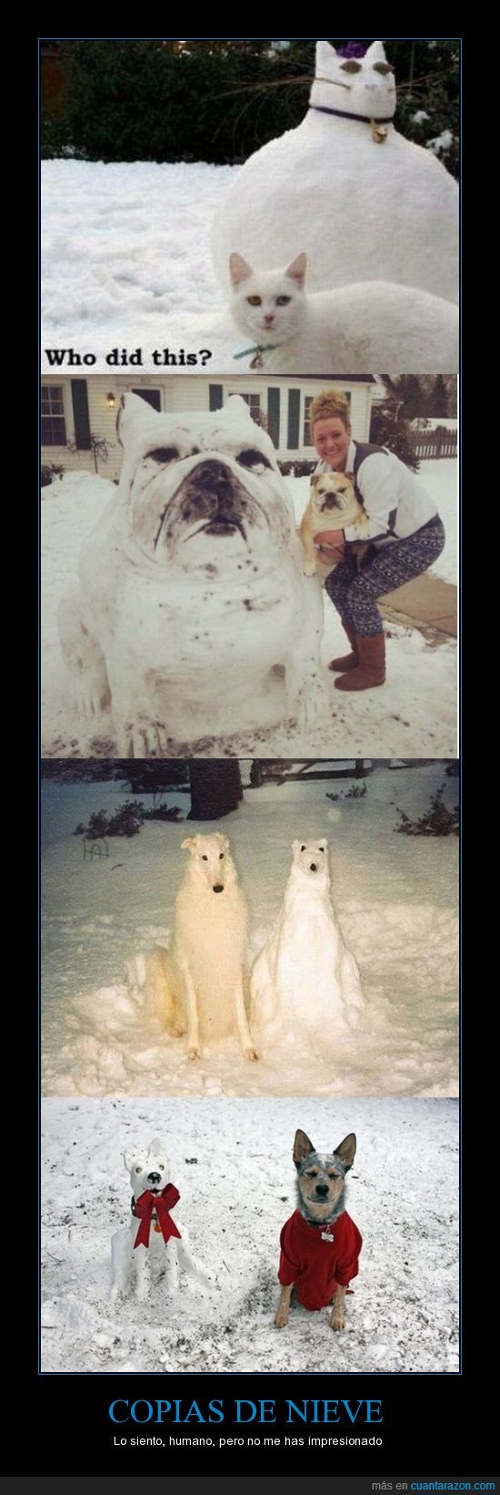 perro,nieve,muñeco,gato,bulldog,animal,nevada,frio