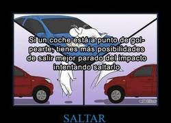 Enlace a SALTAR