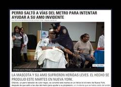 Enlace a FE EN LA CANINIDAD