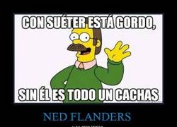 Enlace a NED FLANDERS