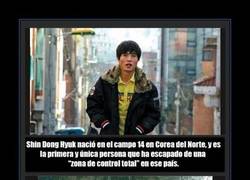 Enlace a CAMPO 14