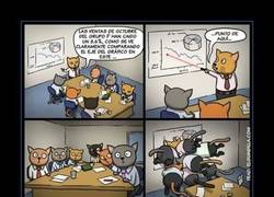 Enlace a PUNTERO LÁSER