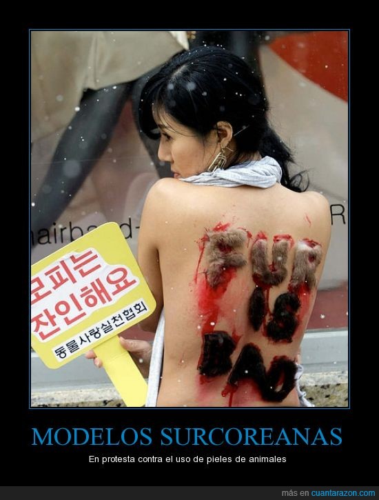 fur is bad,korea del sur,modelo,protesta,sangre,surcoreana