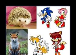 Enlace a PERSONAJES DE SONIC
