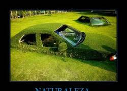 Enlace a NATURALEZA