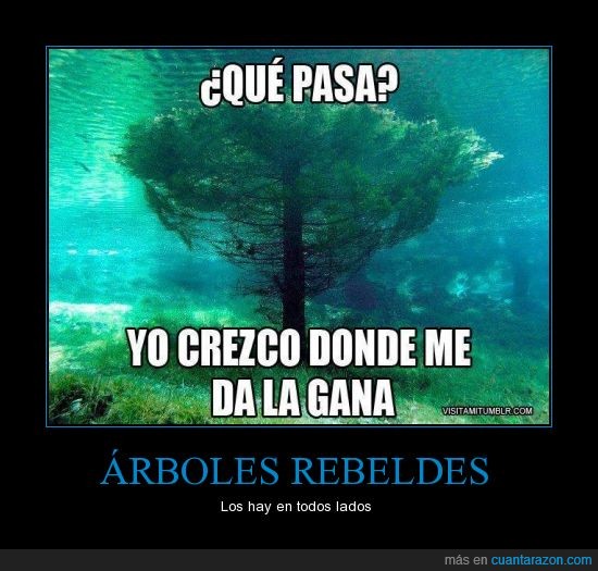 Arboles Rebeldes,A la mierda yo sere un coral,agua,crecer en cualquier lado,lago